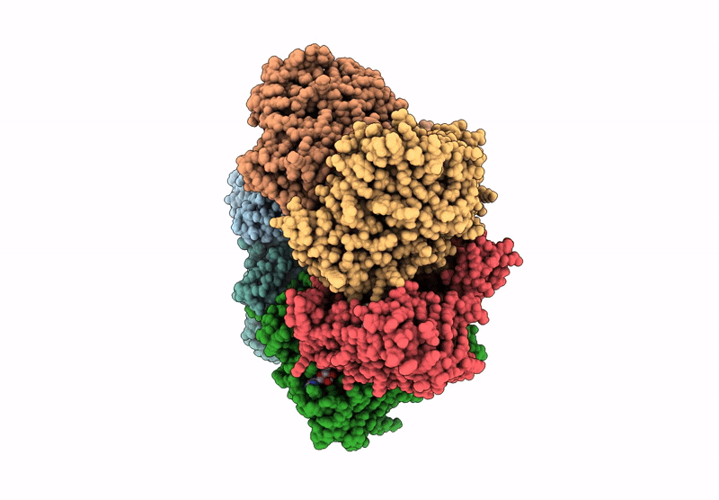 9F9W image