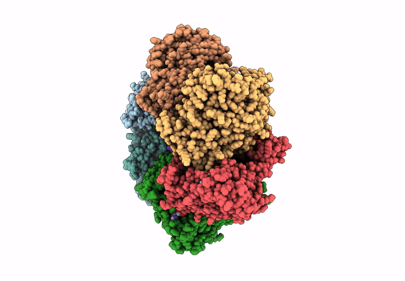 9F9X image