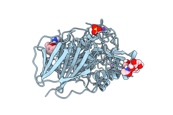 9F9Z image
