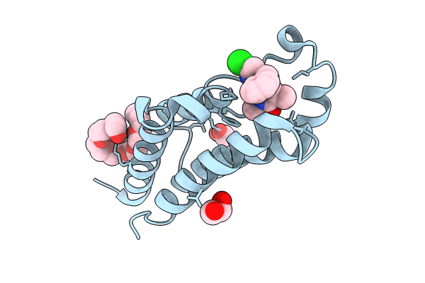 9FBX image