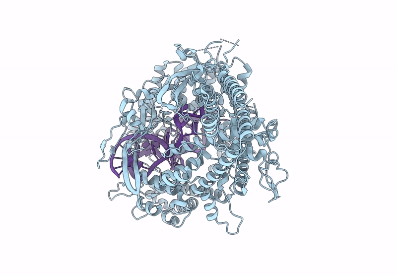 9FCV image