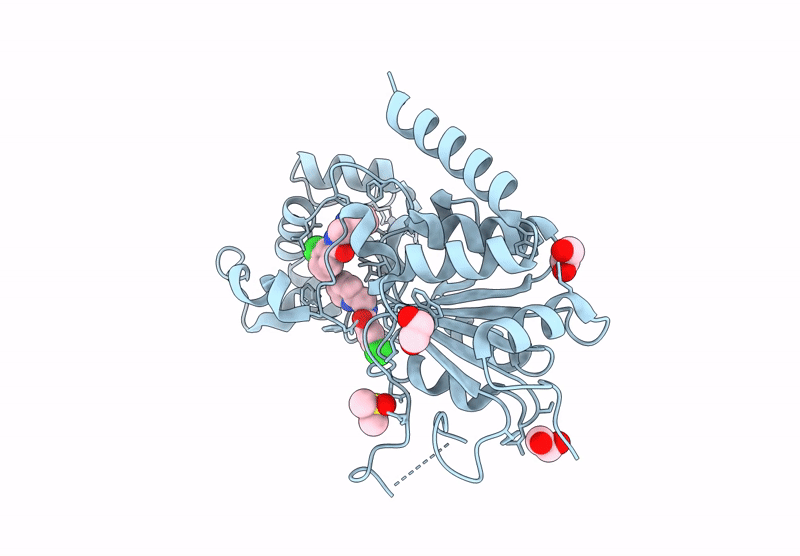 9FDW image