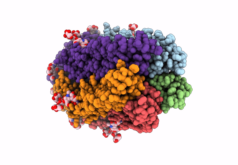 9FEX image
