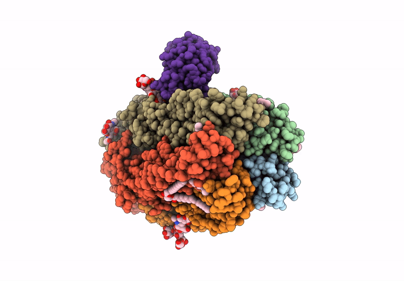 9FFL image