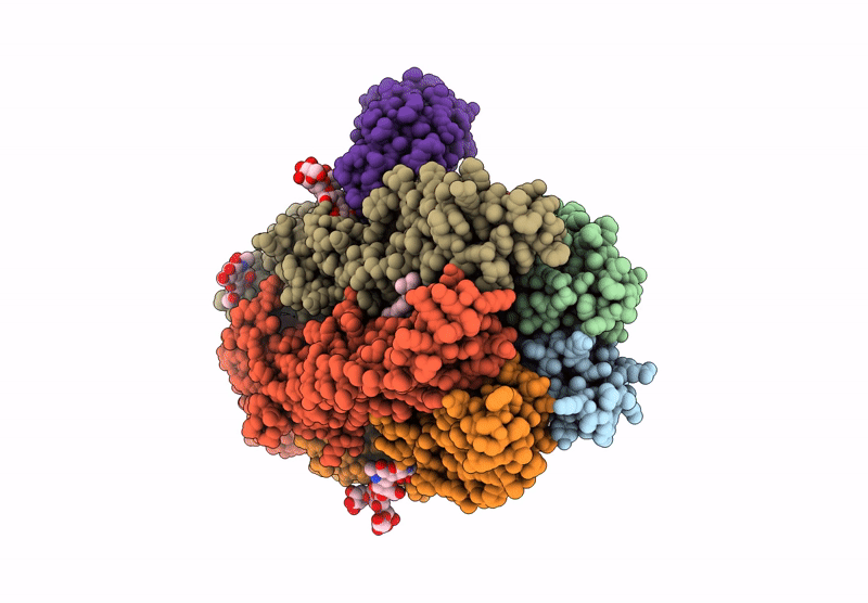 9FFR image