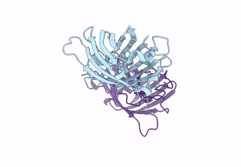 9FGI image