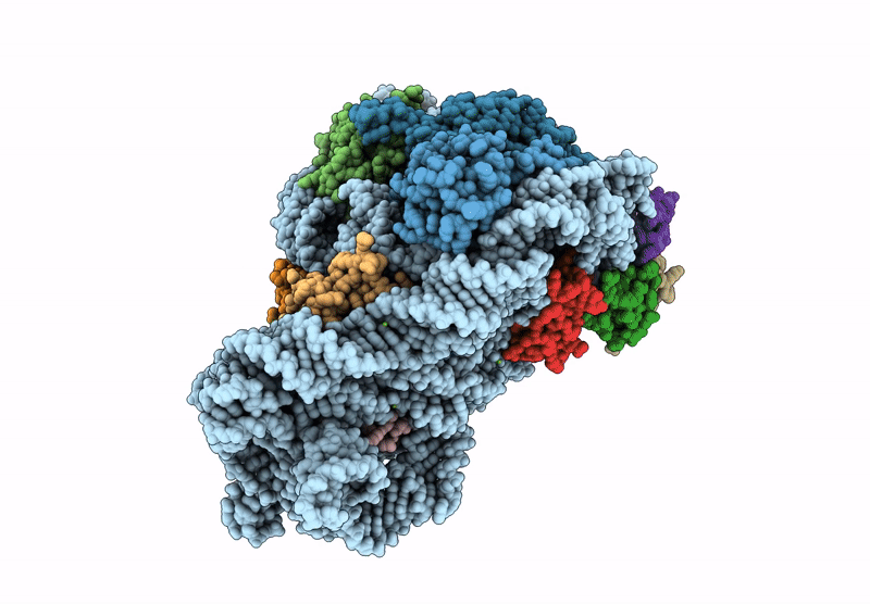 9FIB image
