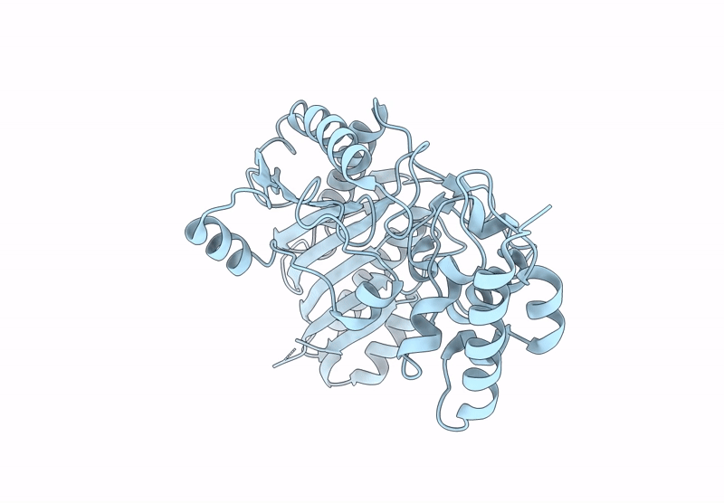 9FIG image