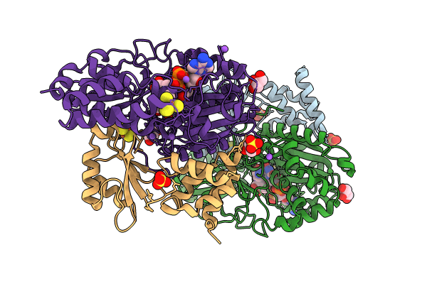 9FIH image