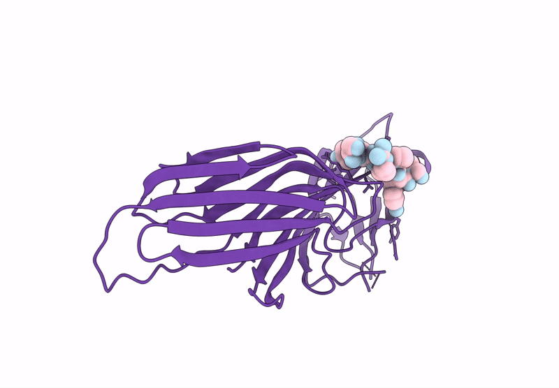 9FIW image