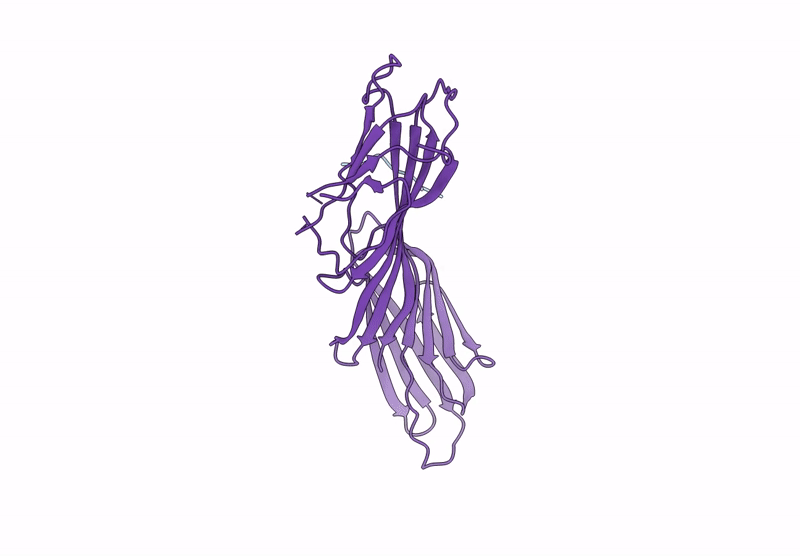 9FIX image