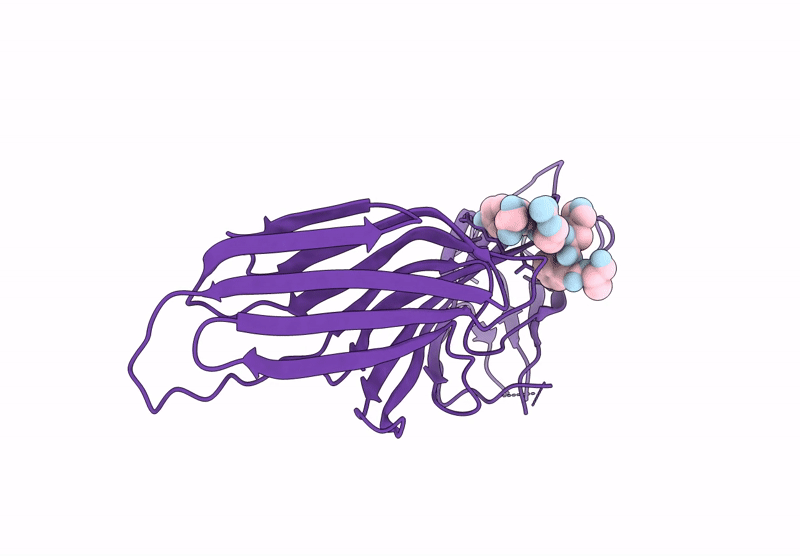 9FIY image
