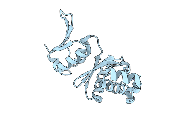 9FJL image
