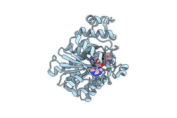 9FMI image