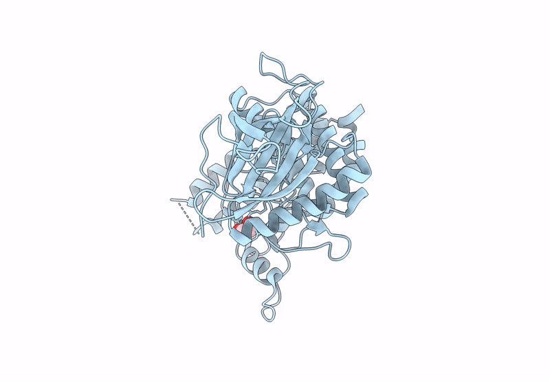 9FMO image