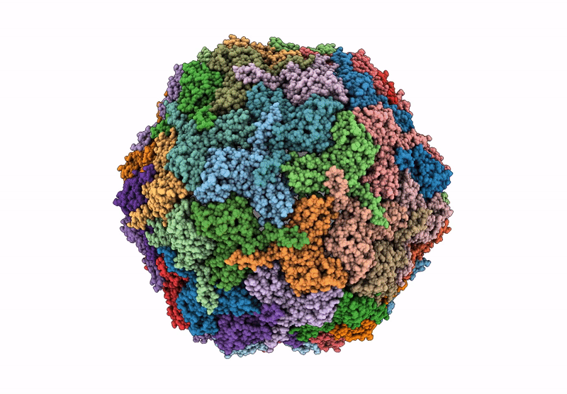 9FNA image