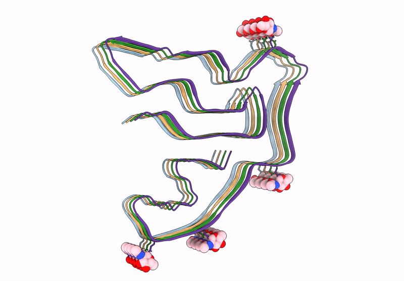9FNB image