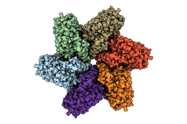 9FP6 image