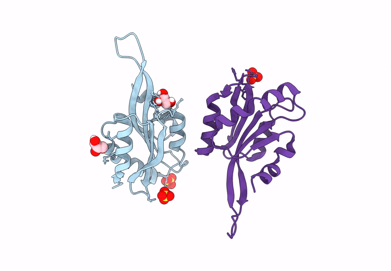 9FP8 image