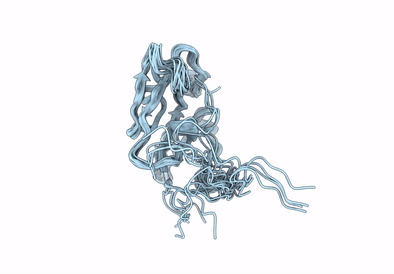 9FP9 image