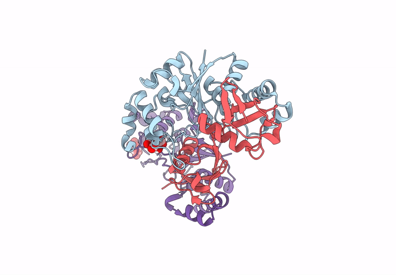 9FPA image
