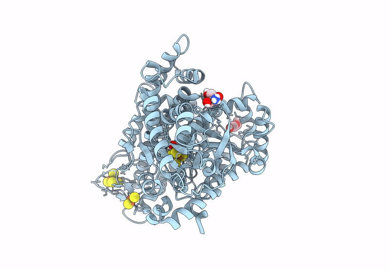 9FPH image