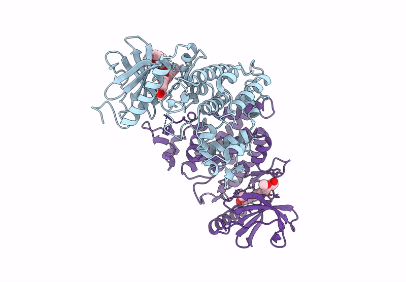 9FPX image