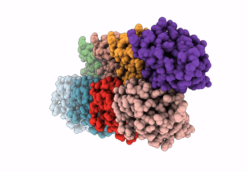 9FQM image