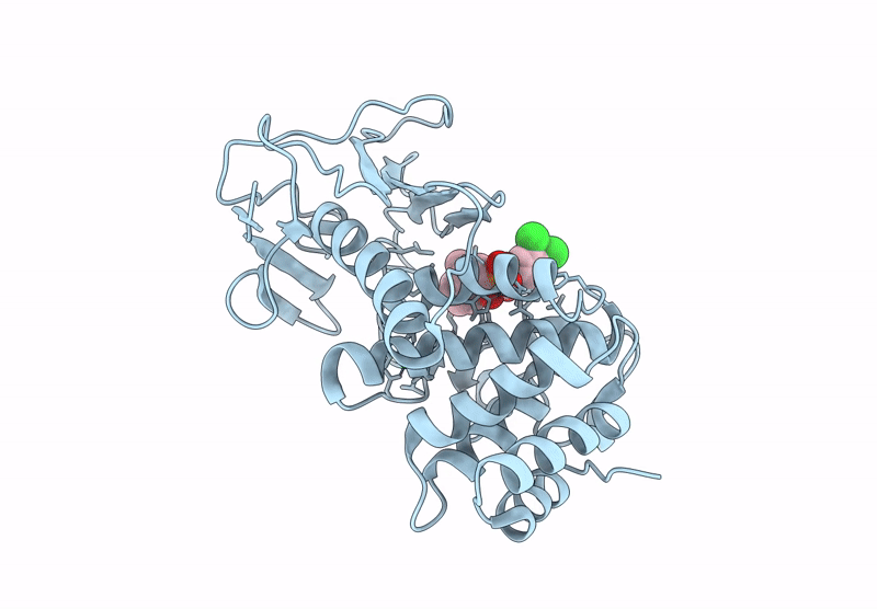 9FQX image