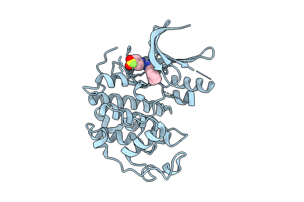9FR2 image
