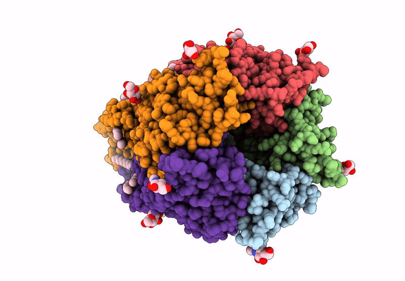 9FRF image