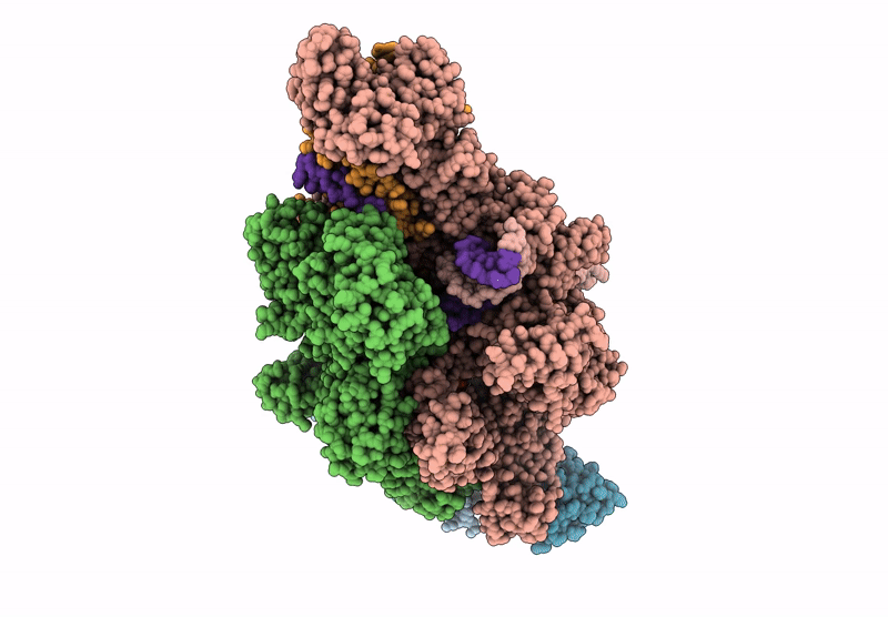 9FRJ image