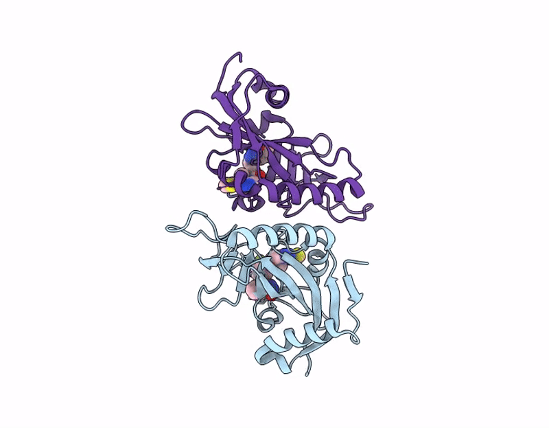 9FRP image