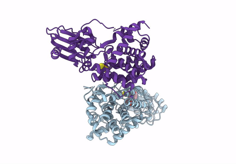 9FSL image