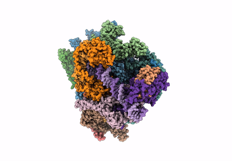 9FSR image