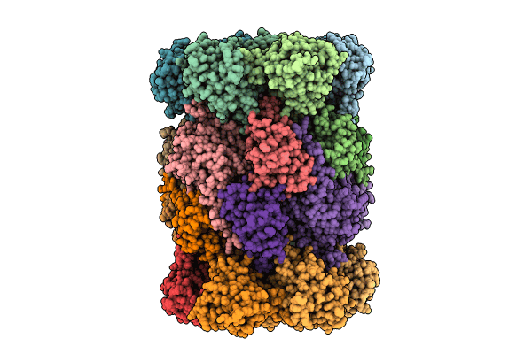 9FSV image