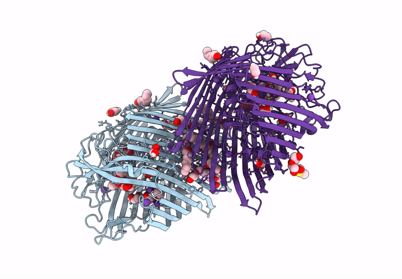 9FVQ image