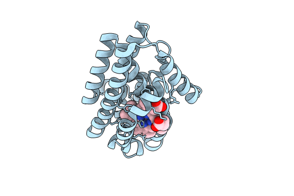 9FVS image