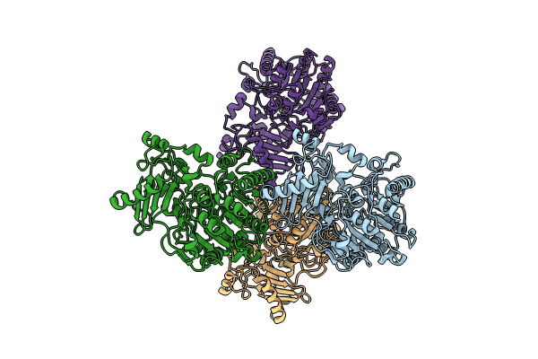 9FVT image