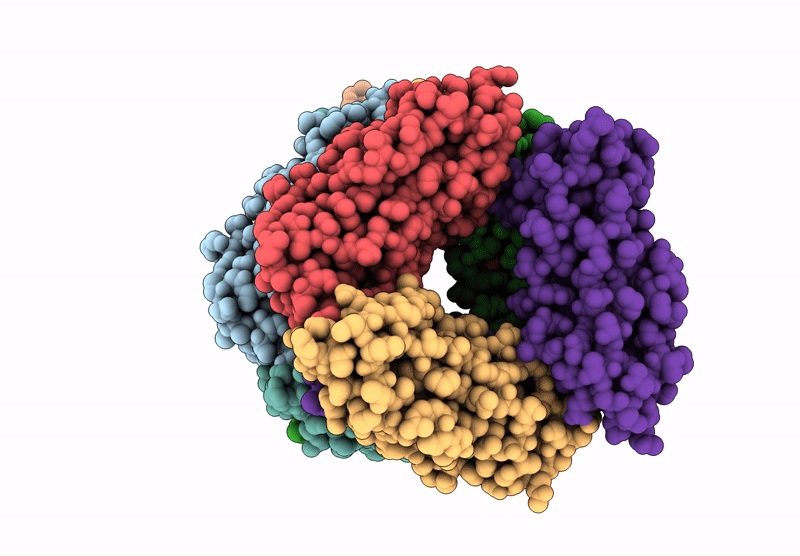 9FX0 image