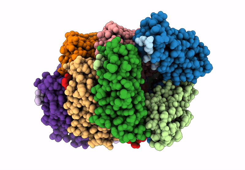 9FXA image