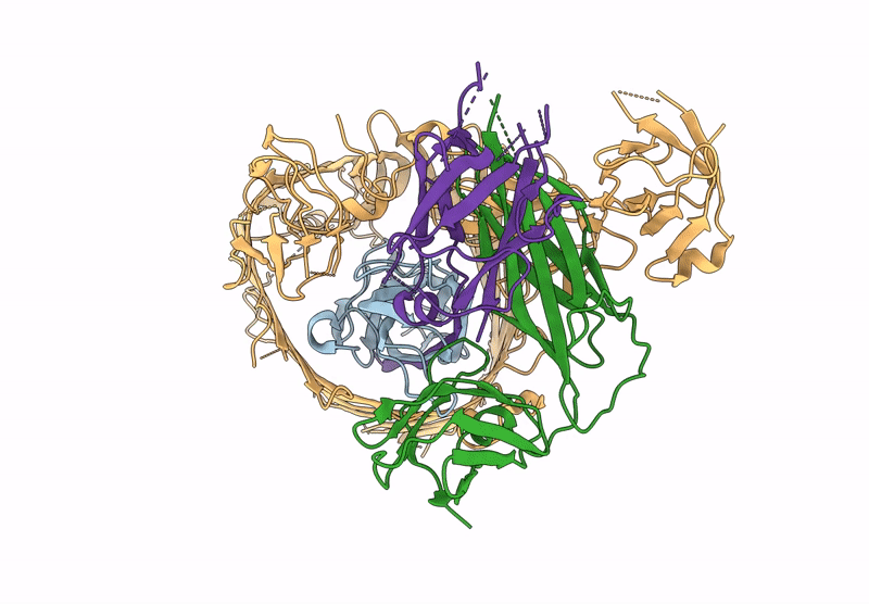 9FXB image