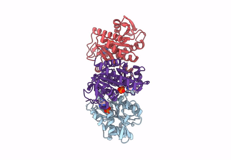 9FXE image