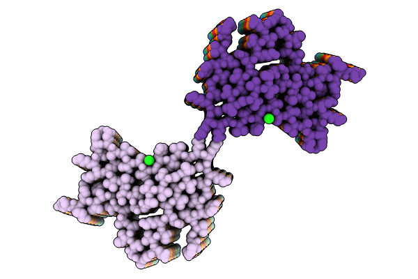 9FYP image