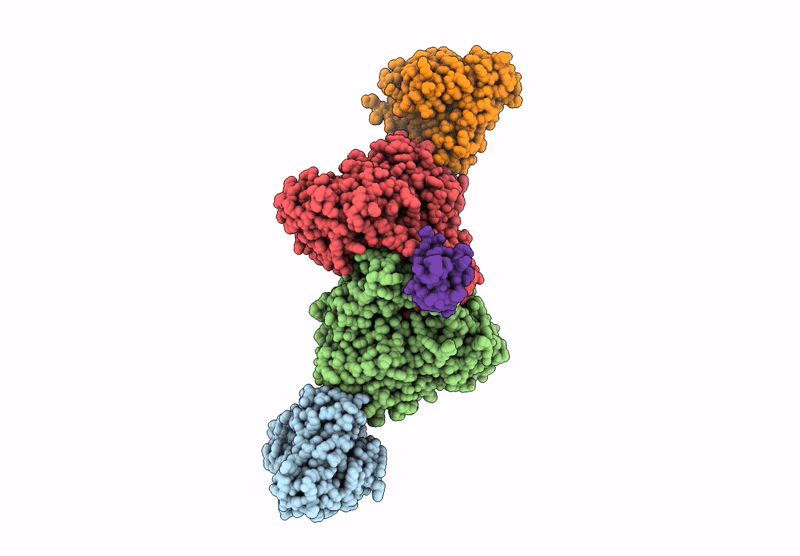 9G03 image