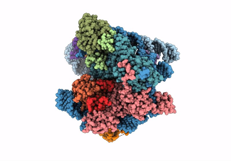 9G25 image