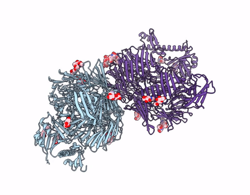 9G2H image