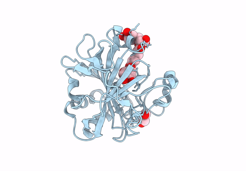 9G38 image