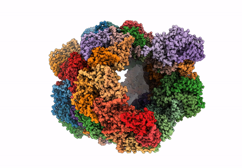 9G3H image