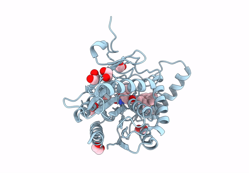 9G4M image
